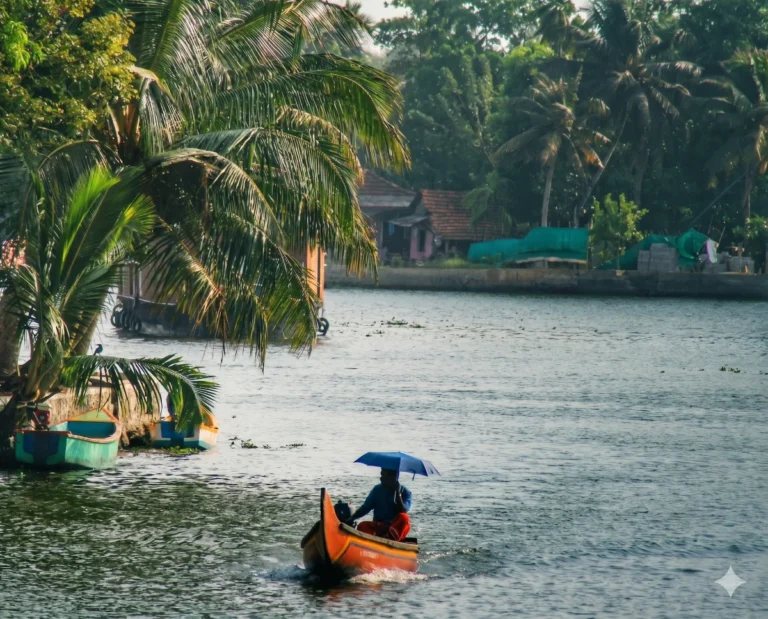 Kerala rains and the umbrellas