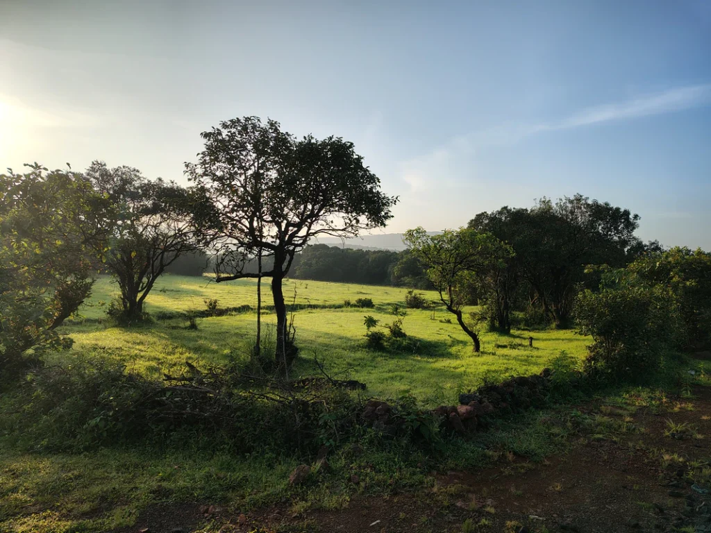 Amboli morning scenes
