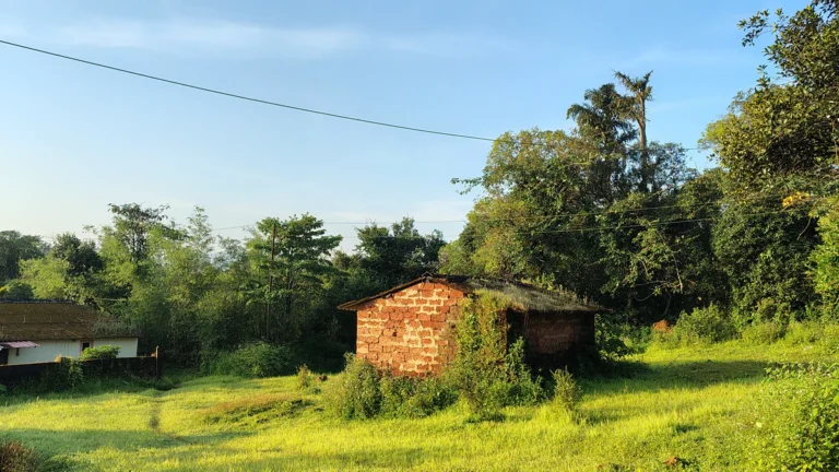 Konkan Homestay views