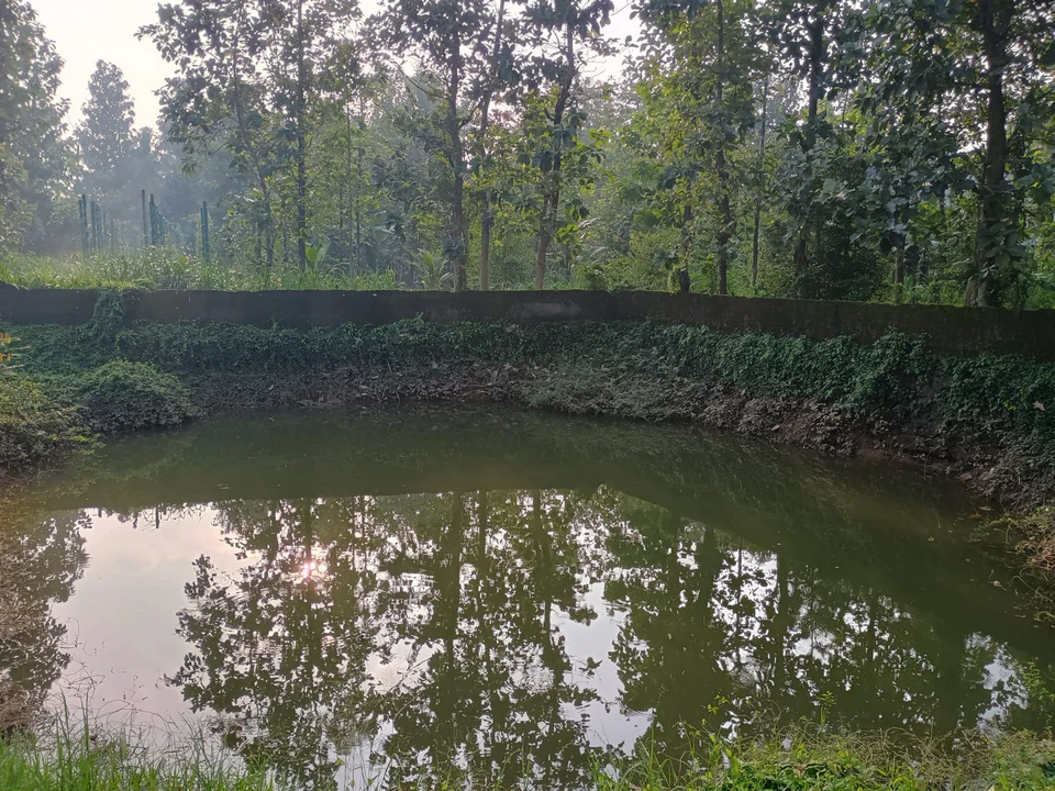 The Ulliyanoor temple , Perunthchan's masterpiece the temple pond