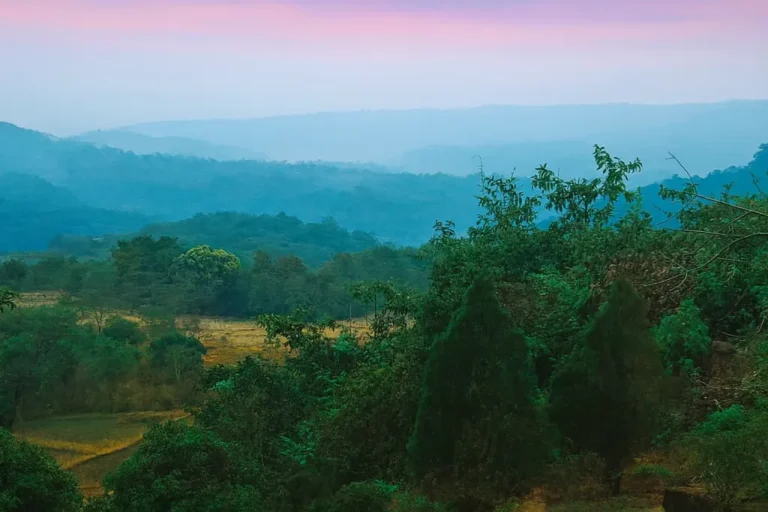chiplun