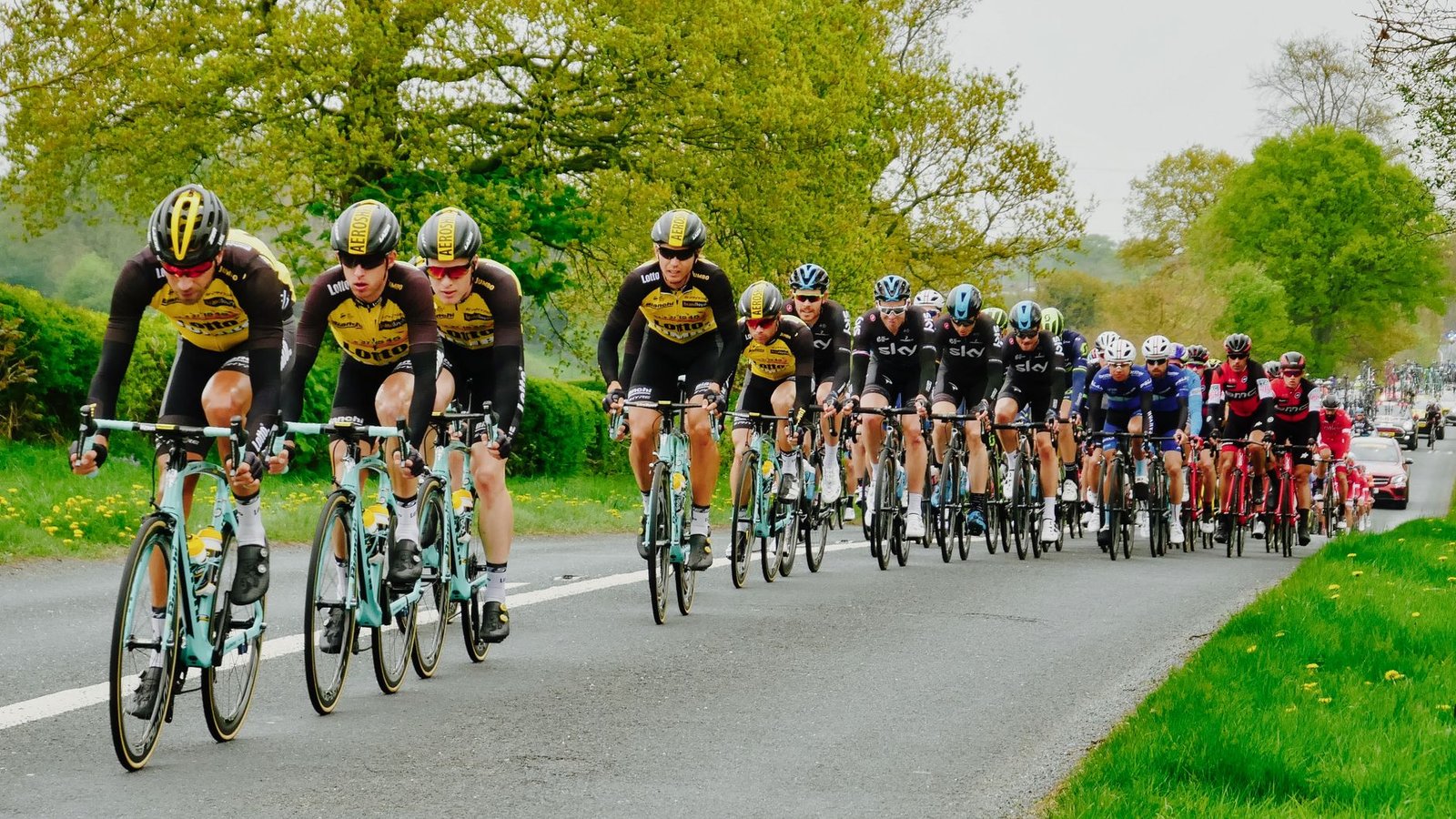professional cyclists racing in tour event