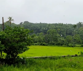 When the rains come Kerala