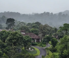 House in tea Gardens Wayanad Kerala