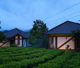 Cottages in Tea Garden Wayanad Kerala